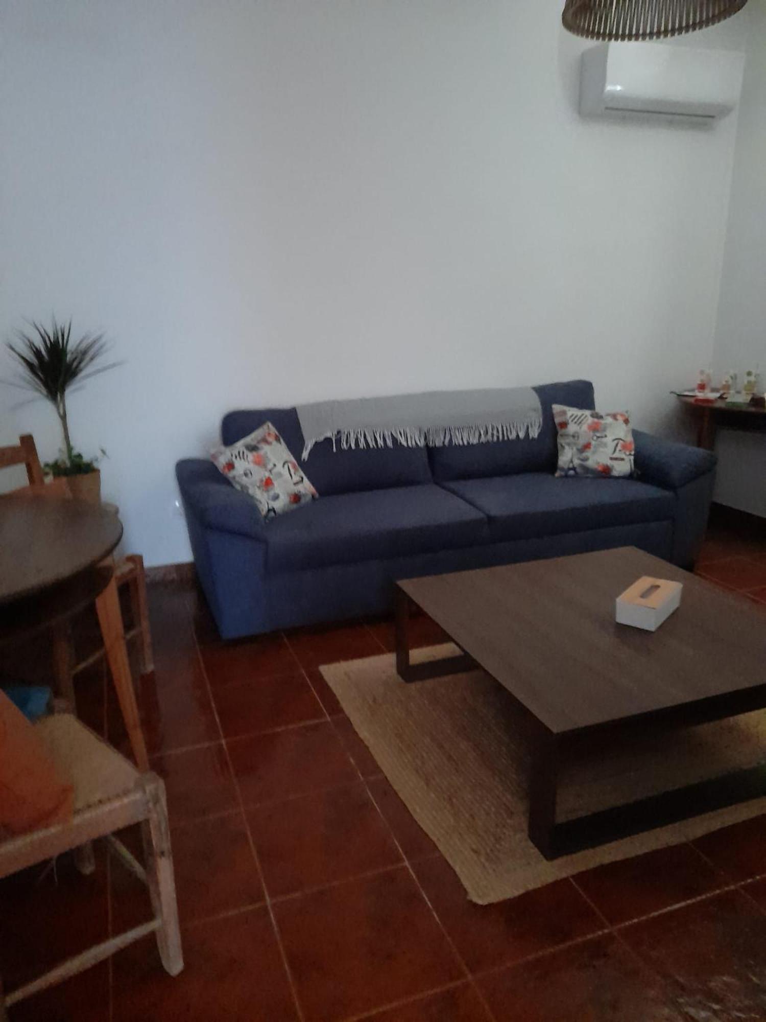 Villa Nova Quinta Moderna Torramo Em Oliveiras, Campo De Laranjas, Na Nacional 2, Alentejo 13750 M2 Torrão Esterno foto