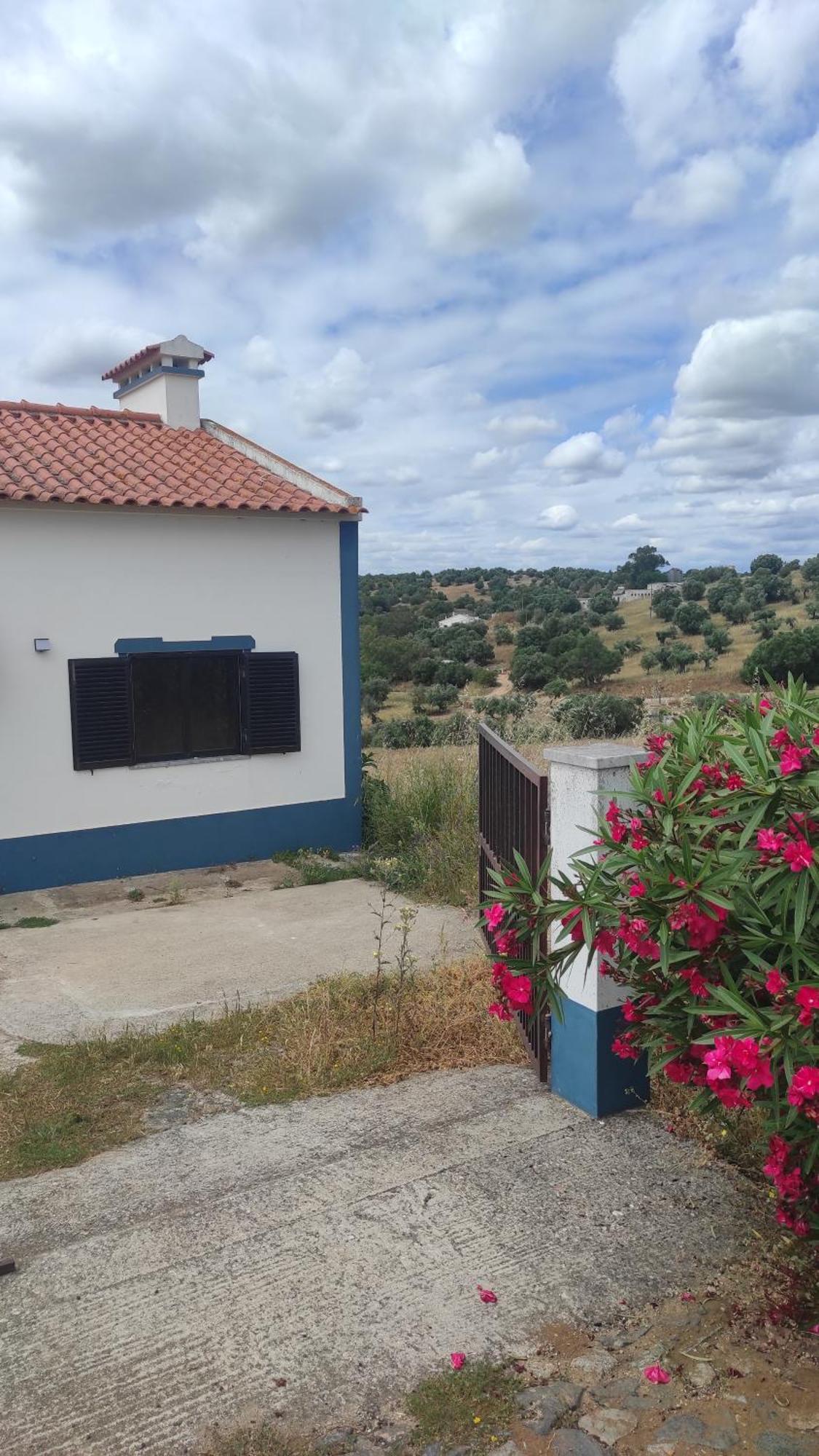 Villa Nova Quinta Moderna Torramo Em Oliveiras, Campo De Laranjas, Na Nacional 2, Alentejo 13750 M2 Torrão Esterno foto