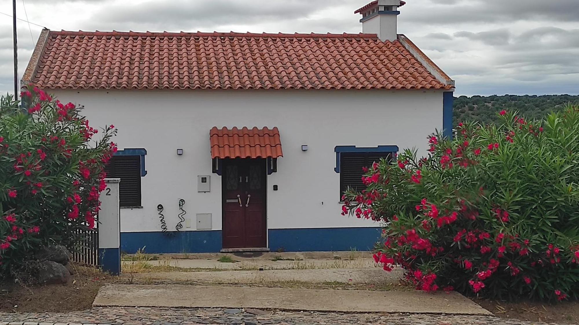 Villa Nova Quinta Moderna Torramo Em Oliveiras, Campo De Laranjas, Na Nacional 2, Alentejo 13750 M2 Torrão Esterno foto